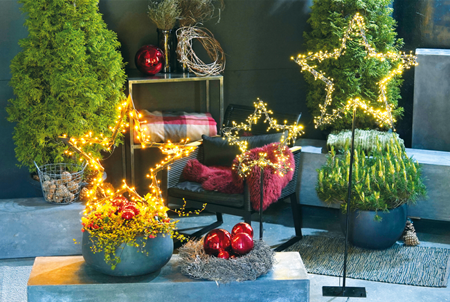 LICHTBLICKE IM WINTER-GARTEN!