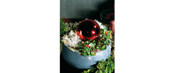 LICHTBLICKE IM WINTER-GARTEN!