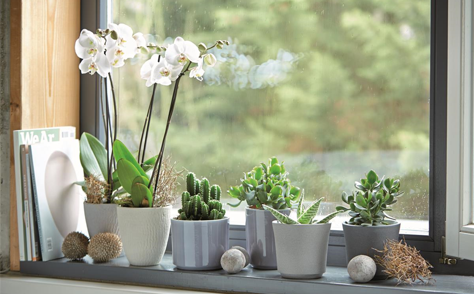 Pflanzgefässe - Hübsche Übertöpfe und Co. Pflanzgefässe - Hübsche Übertöpfe und Co.