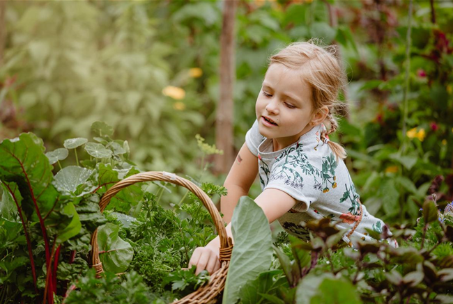 KINDER SPIELERISCH IN DIE ERNTE EINBEZIEHEN